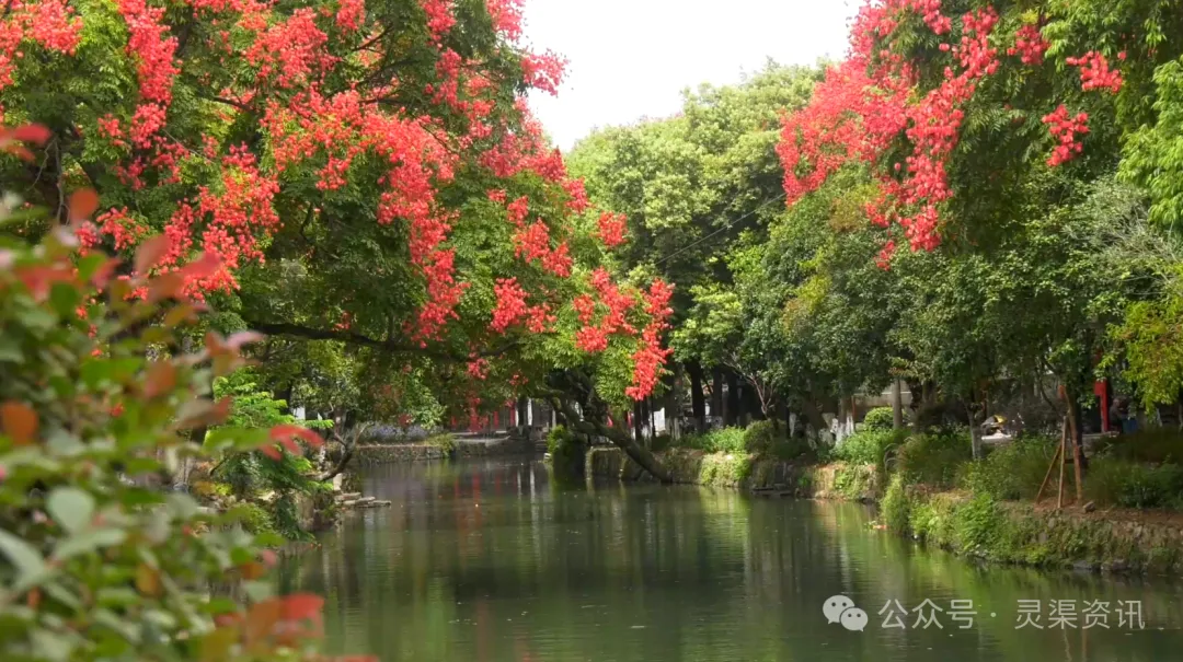 企业微信截图_17612962868189.png