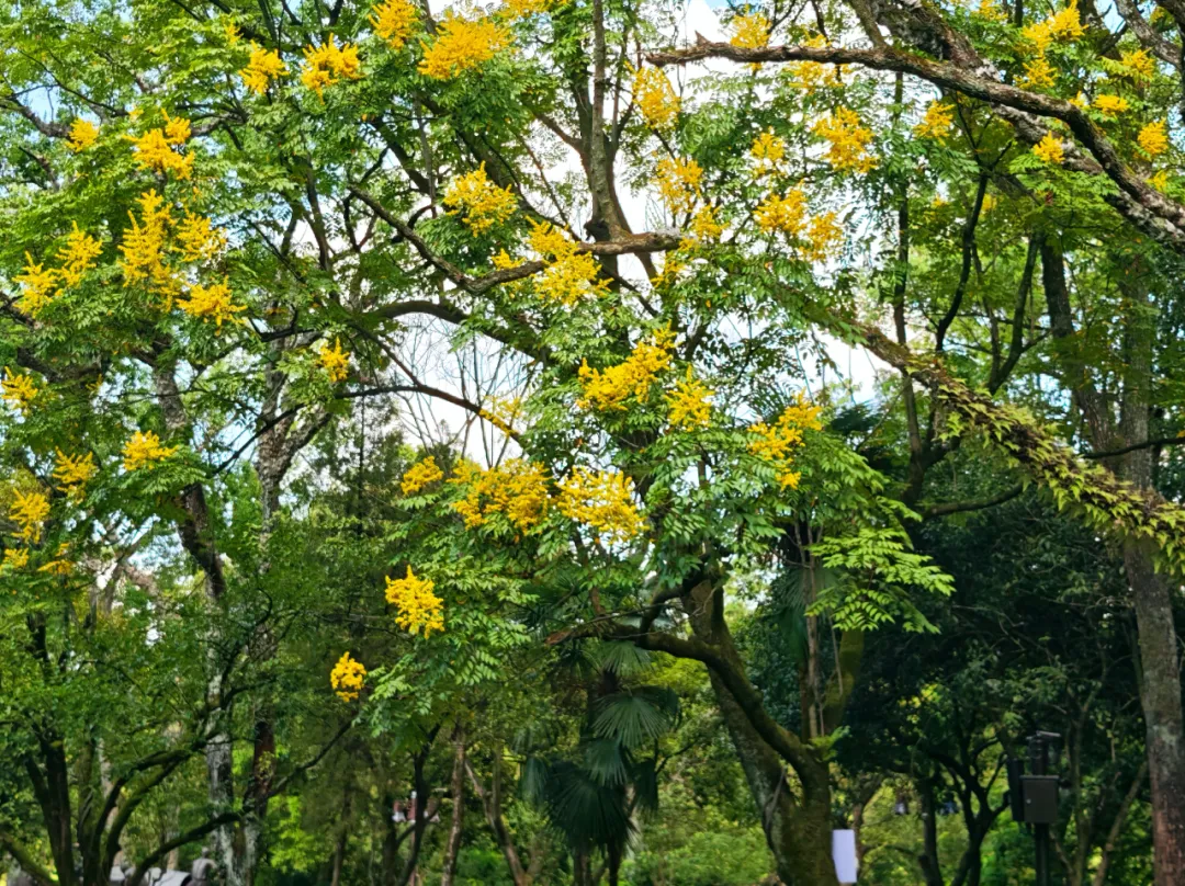 企业微信截图_1761289592118.png
